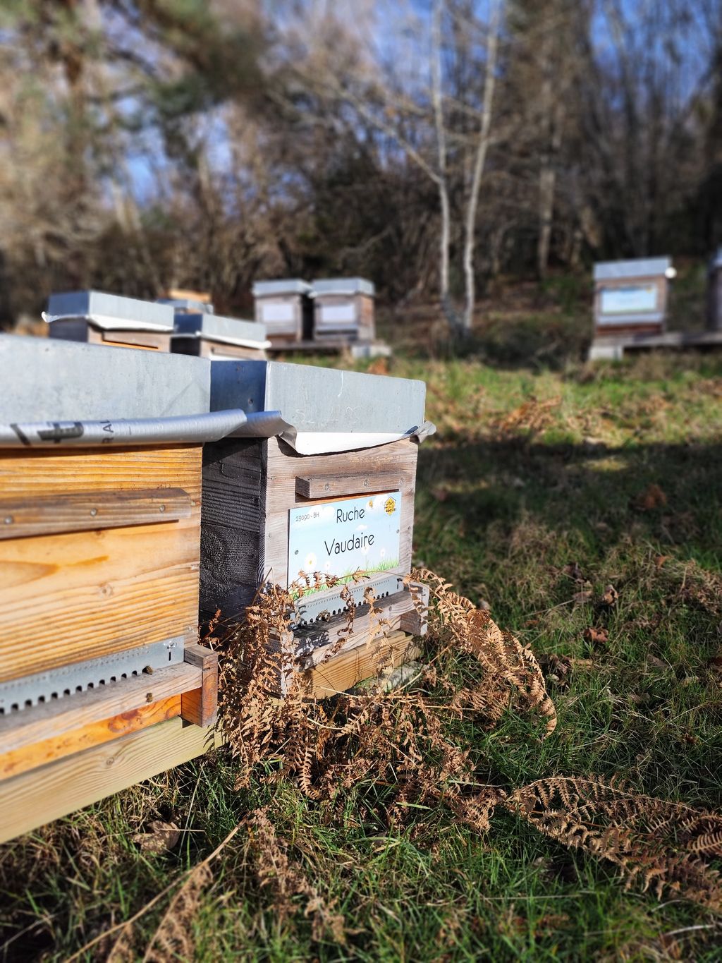 La ruche Vaudaire