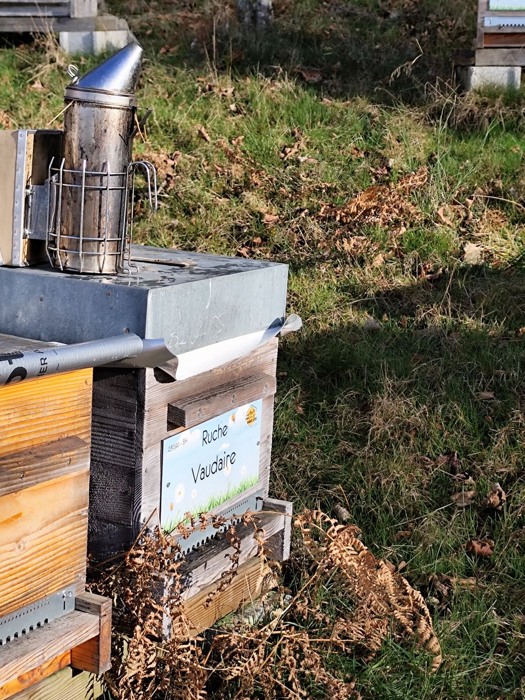 La ruche Vaudaire