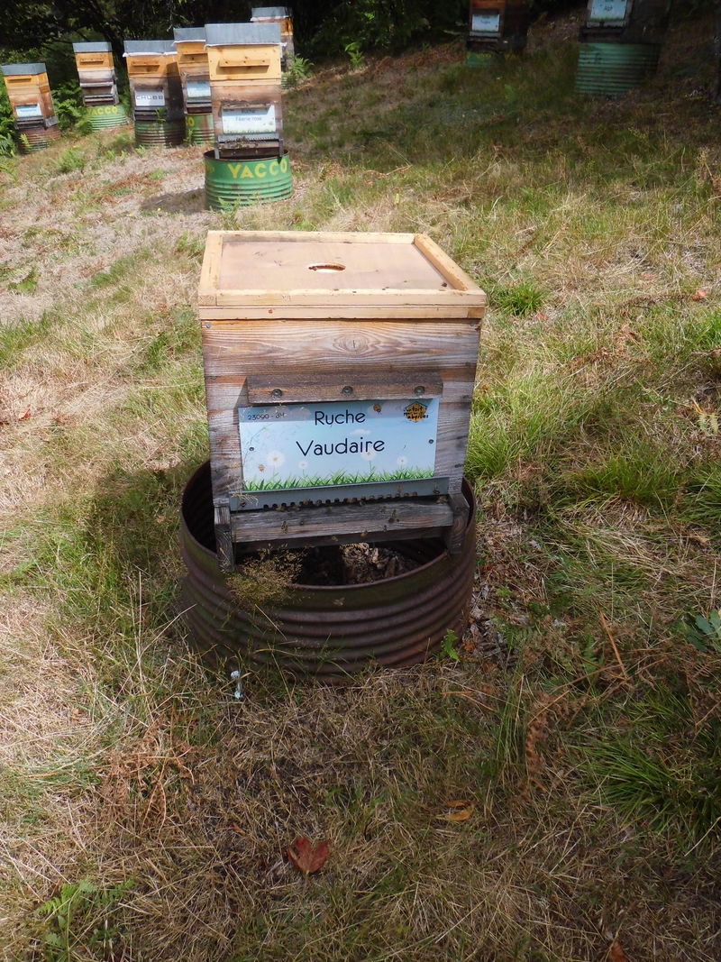 La ruche Vaudaire