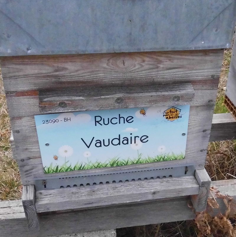 La ruche Vaudaire