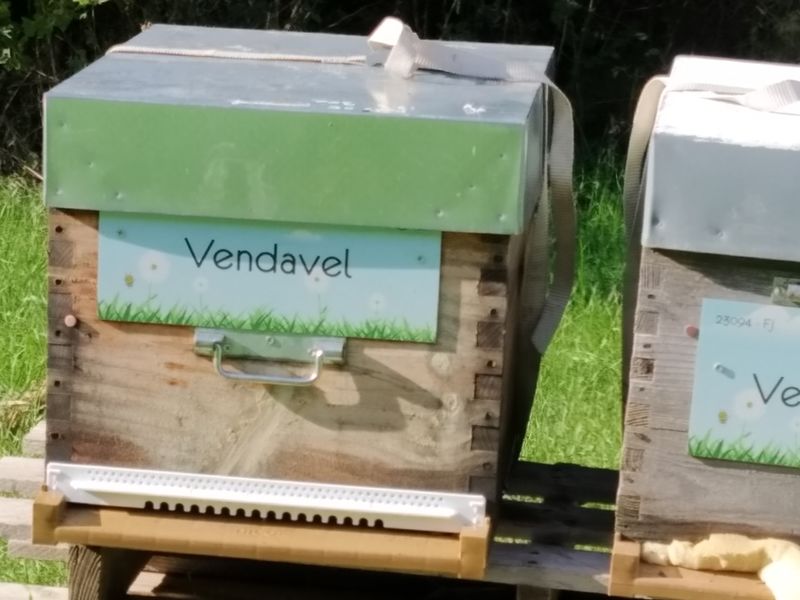 La ruche Vendavel