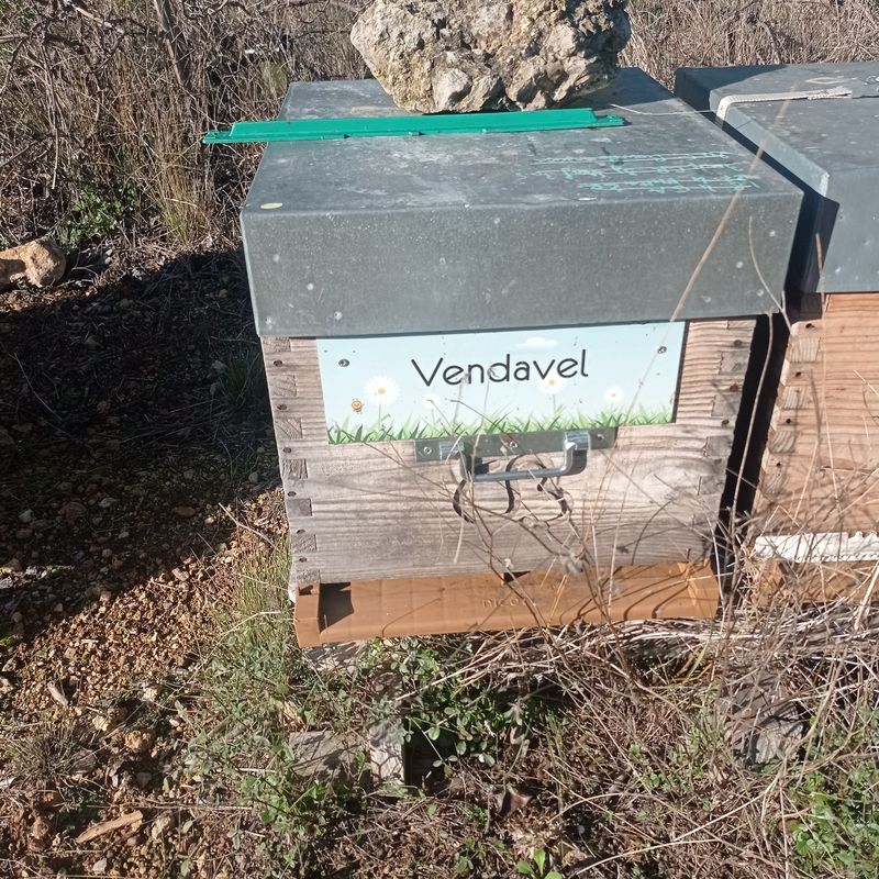 La ruche Vendavel