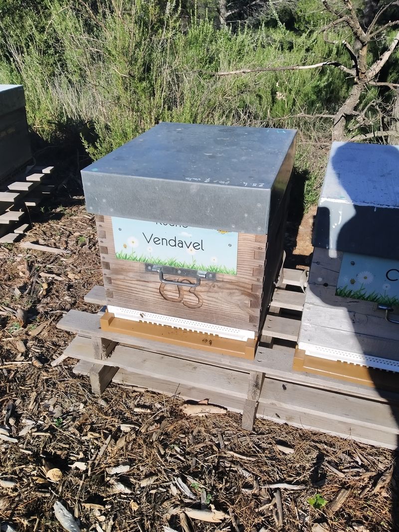 La ruche Vendavel