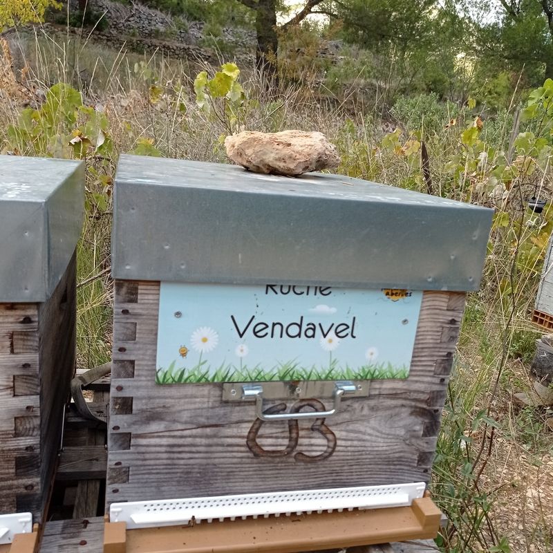 La ruche Vendavel