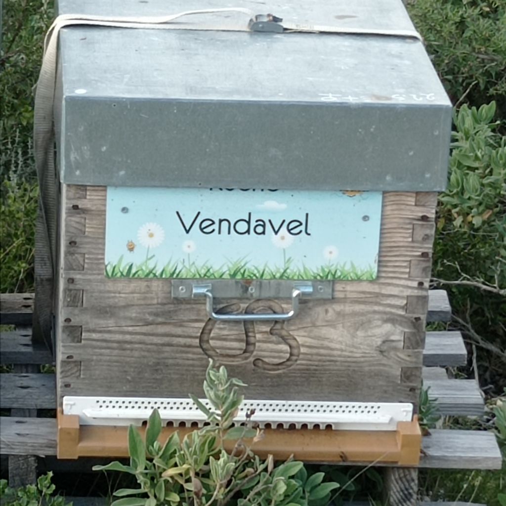 La ruche Vendavel