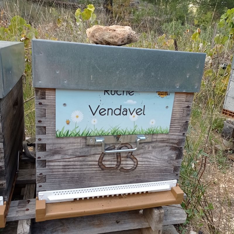 La ruche Vendavel