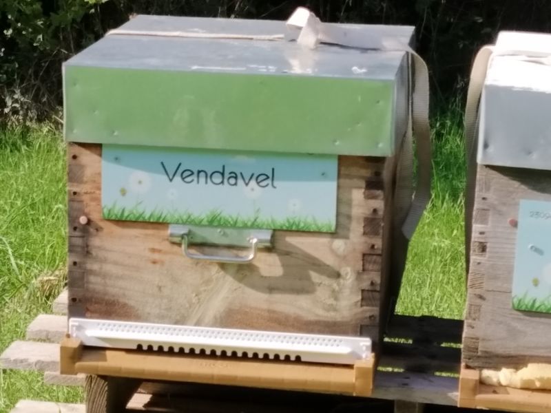 La ruche Vendavel