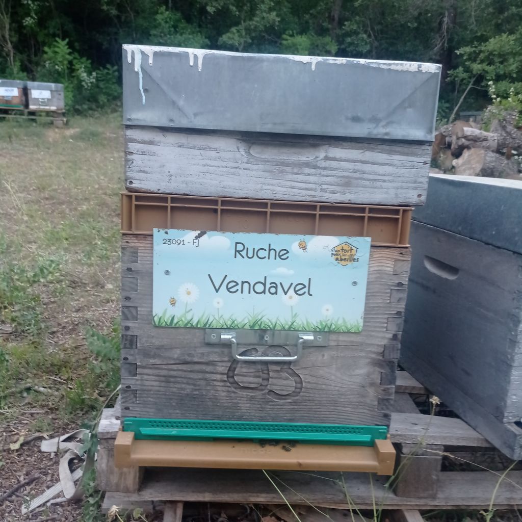 La ruche Vendavel