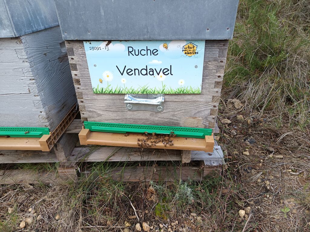La ruche Vendavel