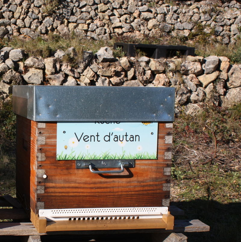 La ruche Vent d