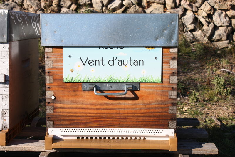 La ruche Vent d