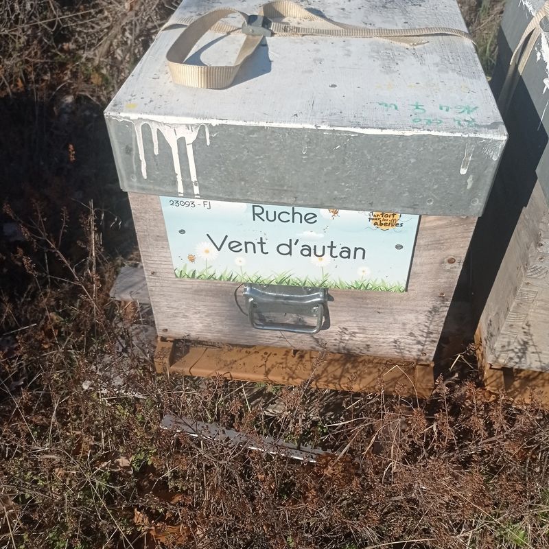 La ruche Vent d