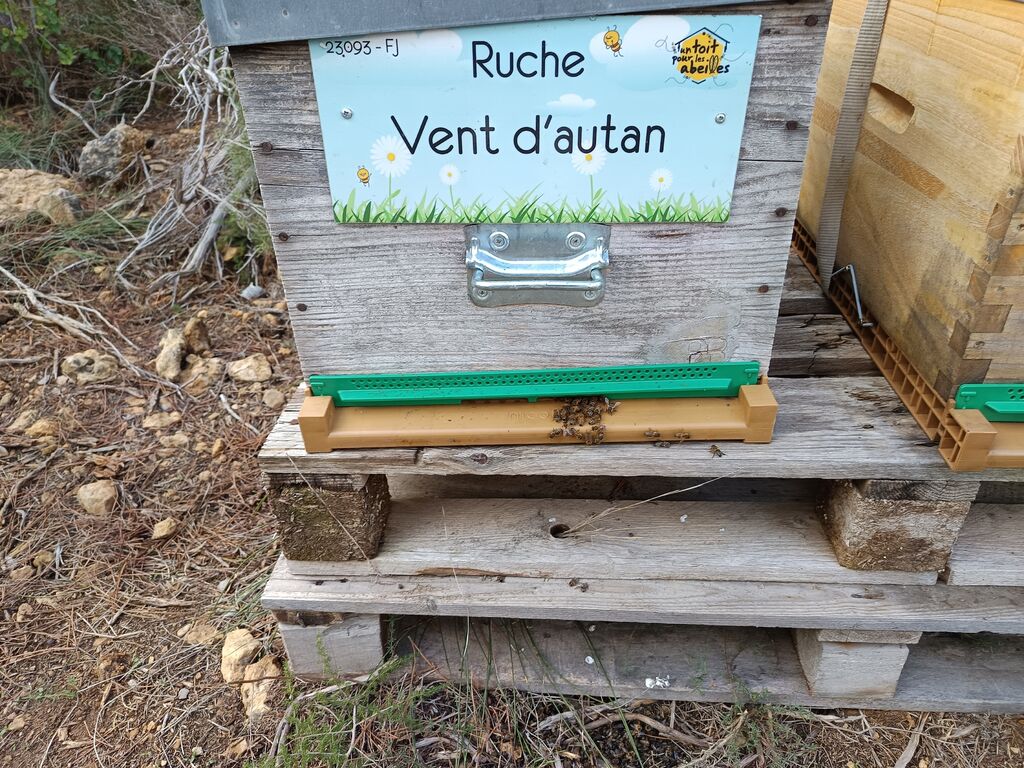 La ruche Vent d