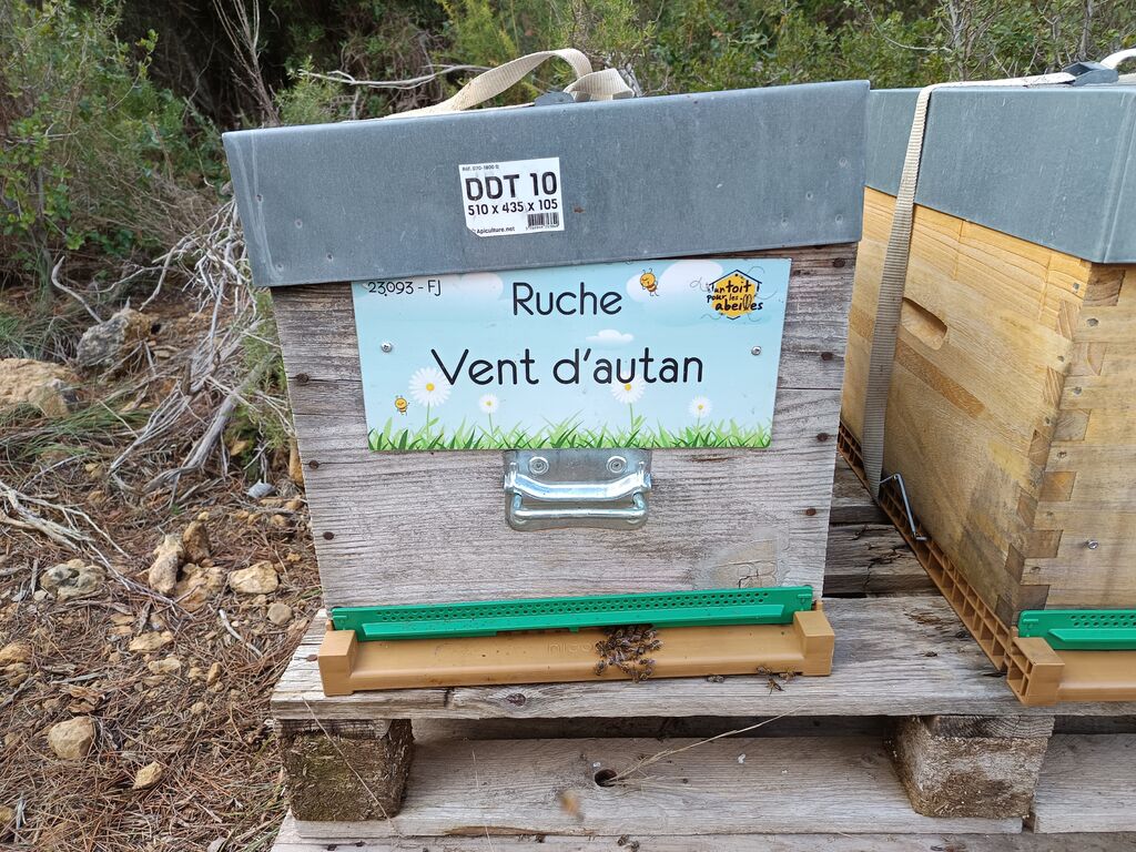 La ruche Vent d