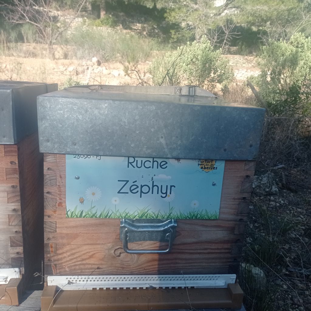 La ruche Zéphyr