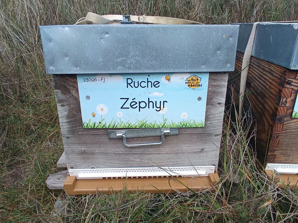 La ruche Zéphyr