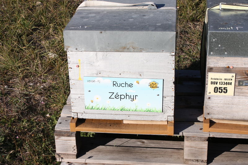 La ruche Zéphyr