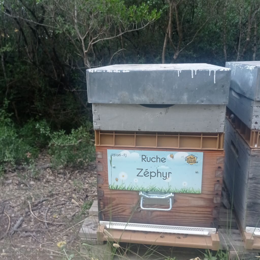 La ruche Zéphyr