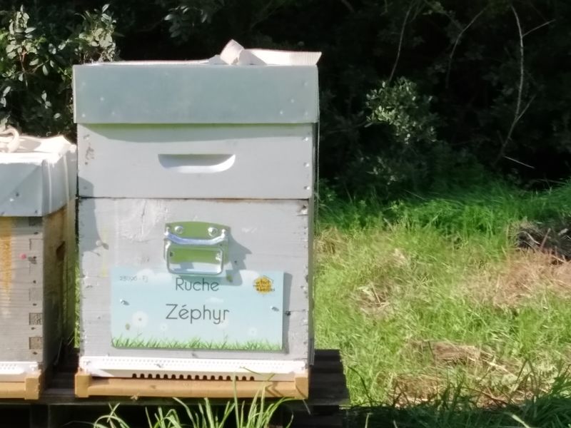 La ruche Zéphyr