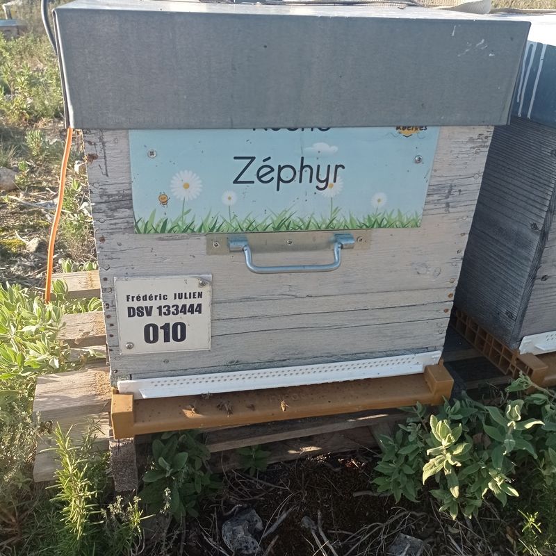 La ruche Zéphyr