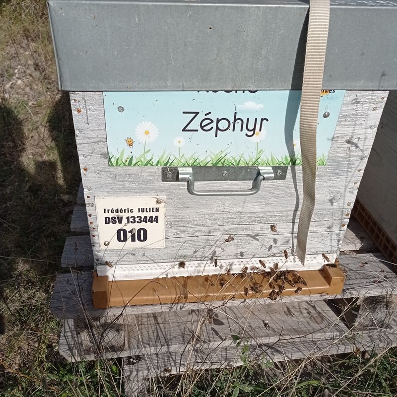 La ruche Zéphyr
