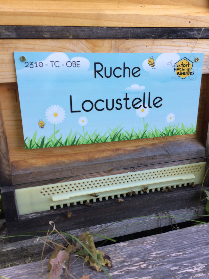 La ruche