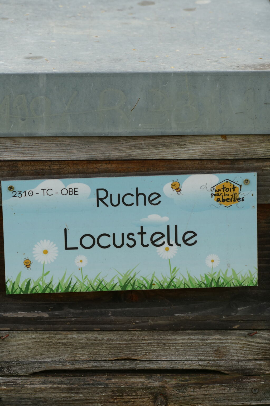 La ruche Locustelle