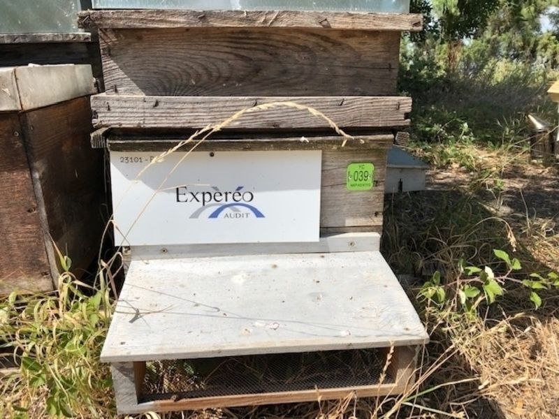 La ruche Expèréo audit