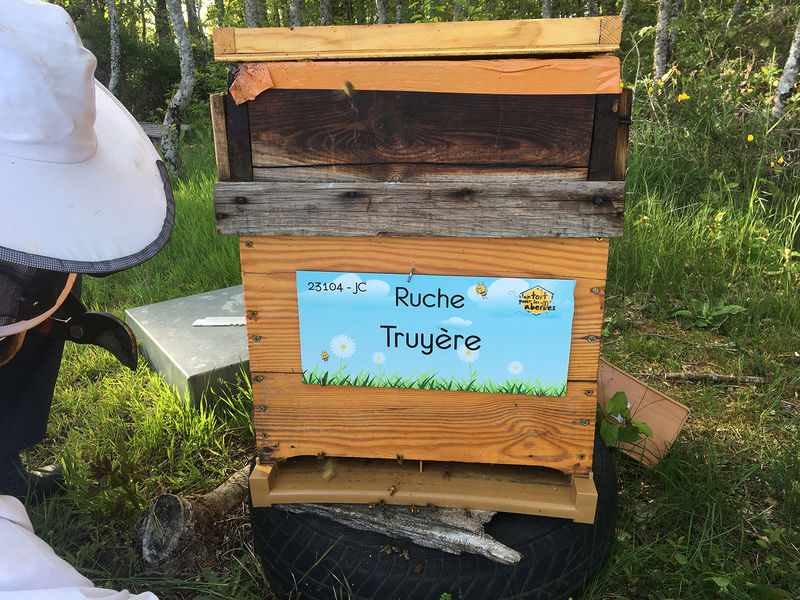 La ruche Truyère