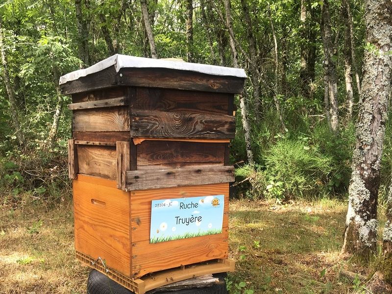 La ruche Truyère