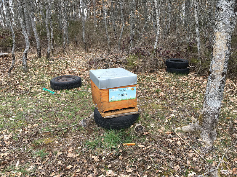 La ruche Truyère