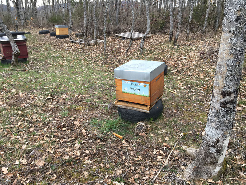 La ruche Truyère