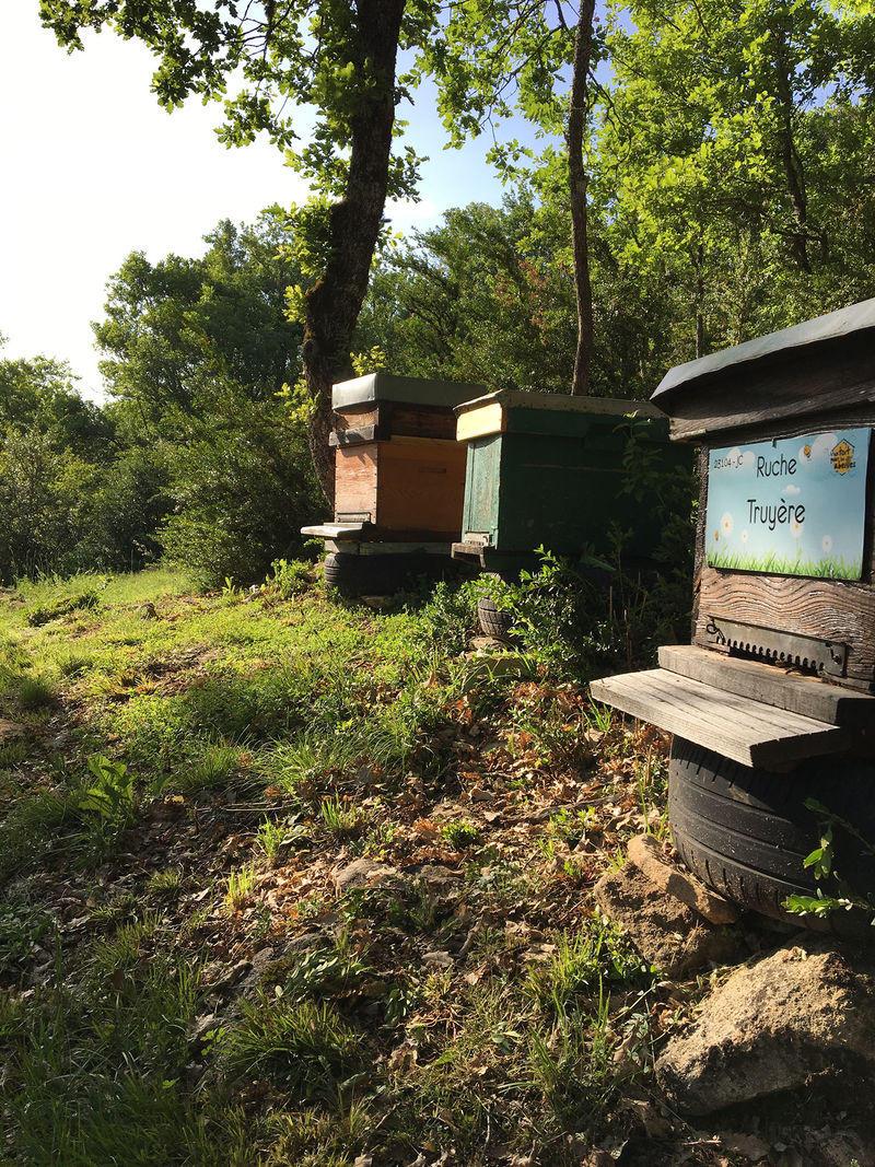 La ruche Truyère