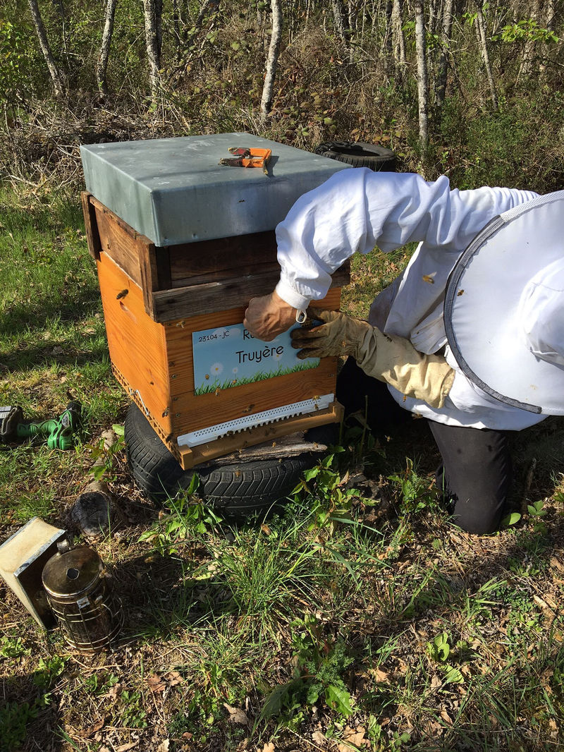 La ruche Truyère