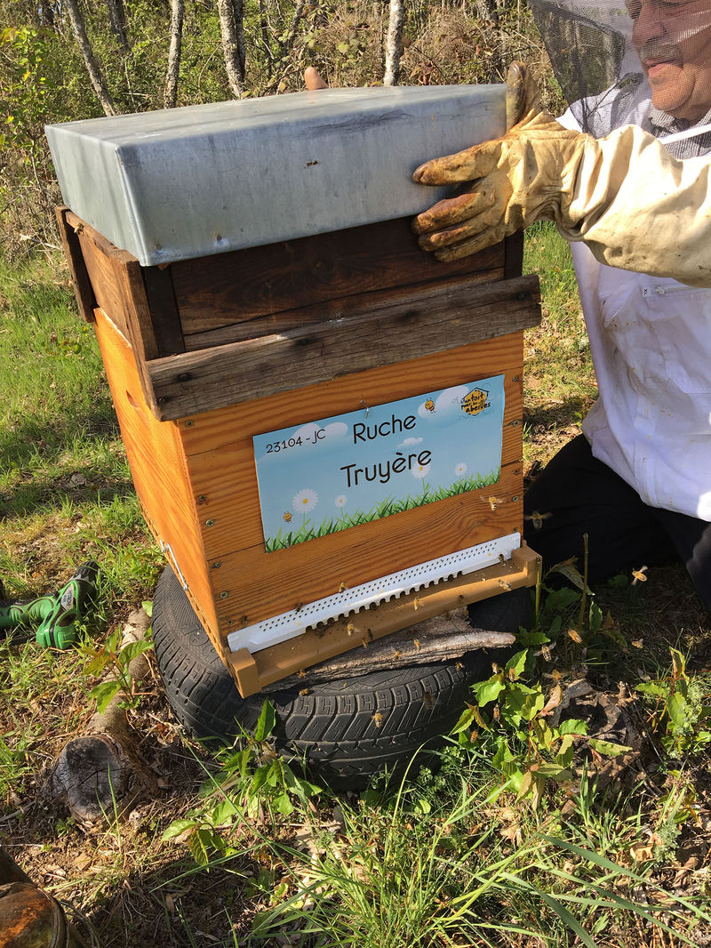 La ruche Truyère