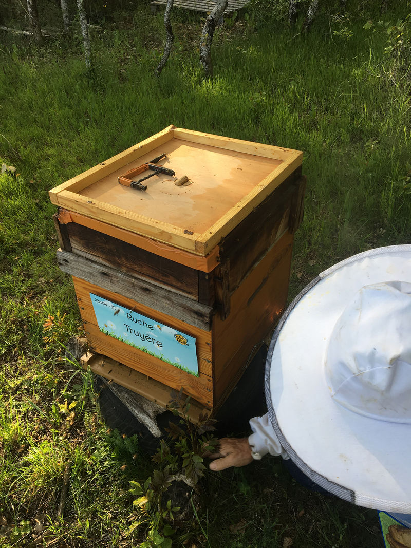 La ruche Truyère