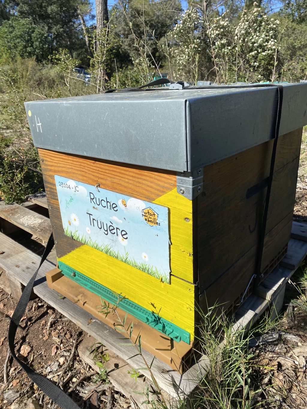La ruche Truyère