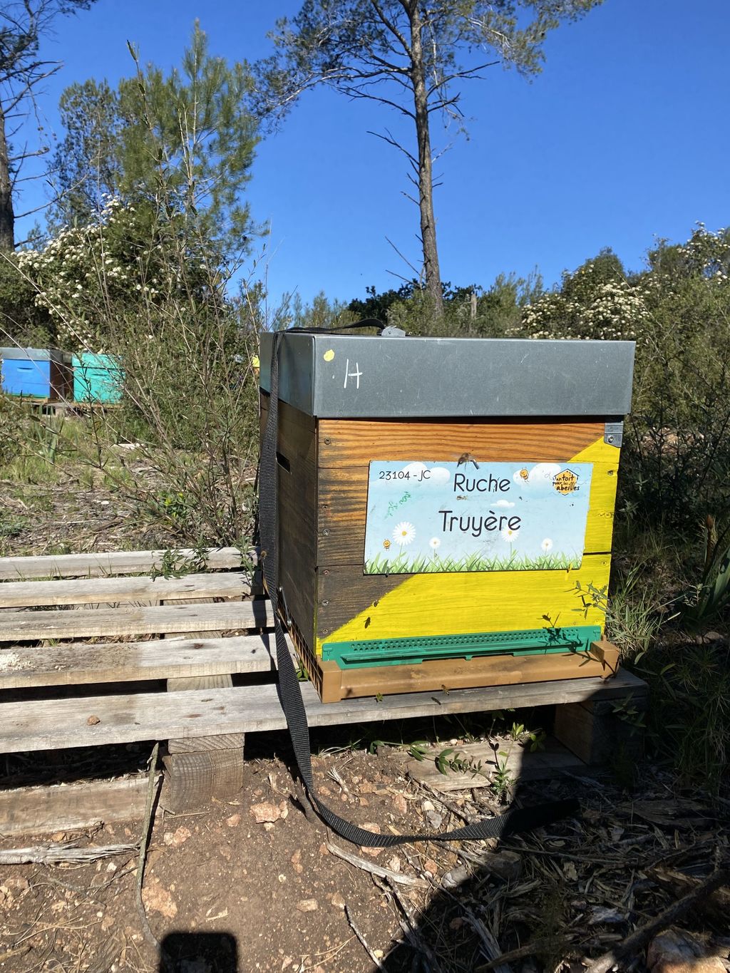 La ruche Truyère
