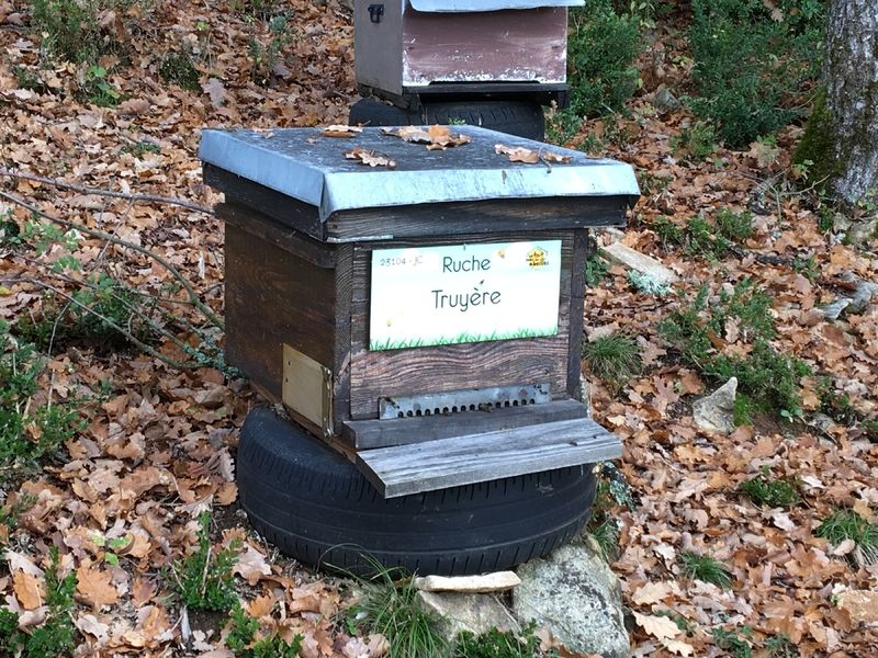 La ruche Truyère