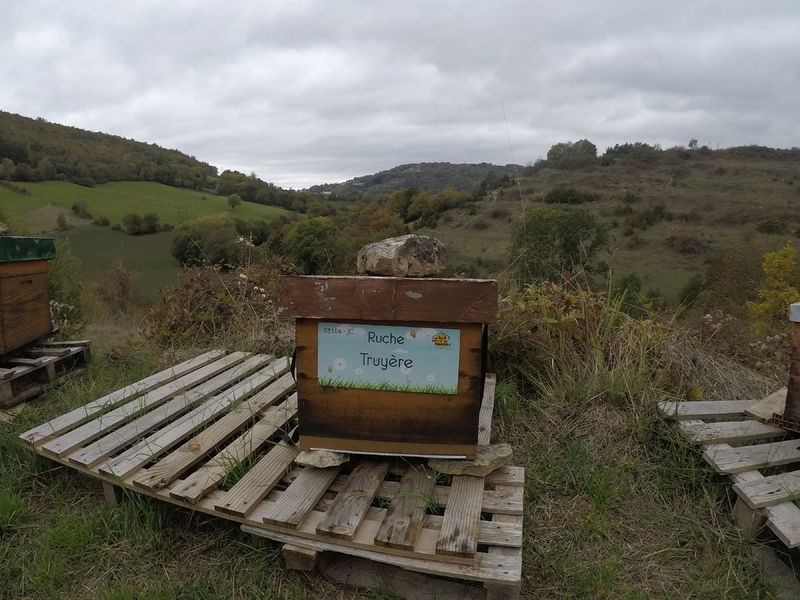 La ruche Truyère