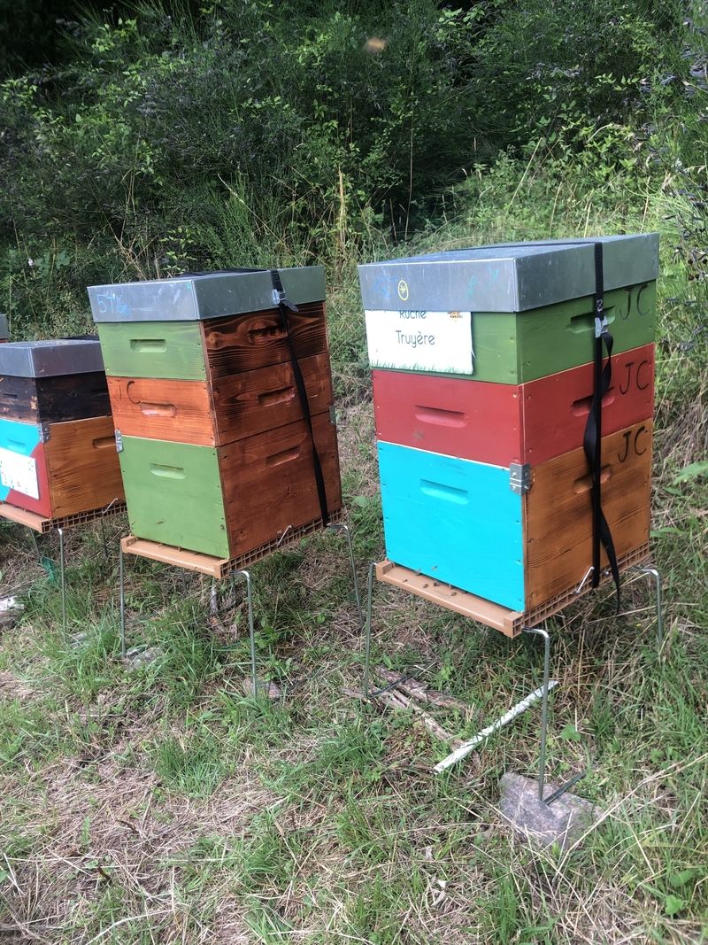 La ruche Truyère