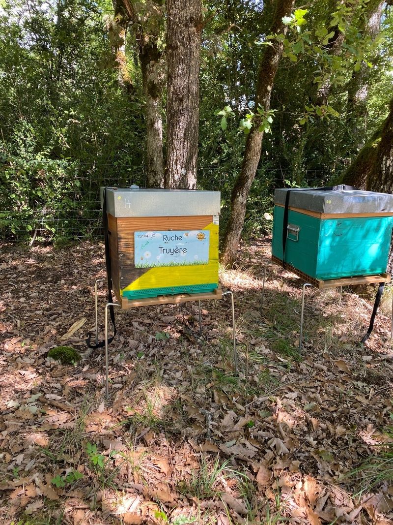 La ruche Truyère