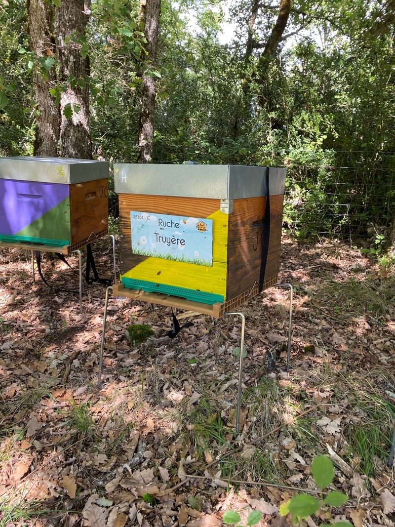 La ruche Truyère