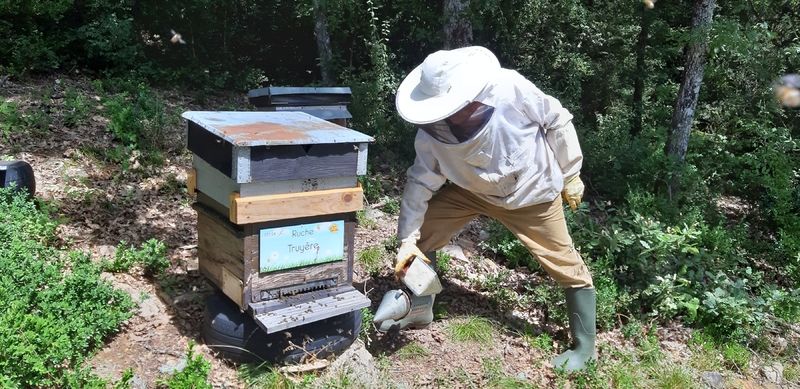 La ruche Truyère
