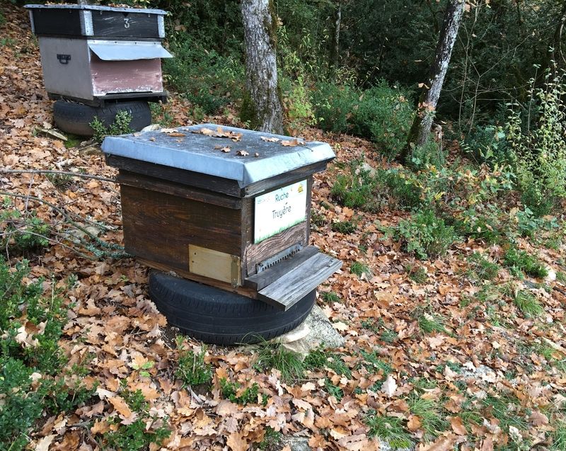 La ruche Truyère