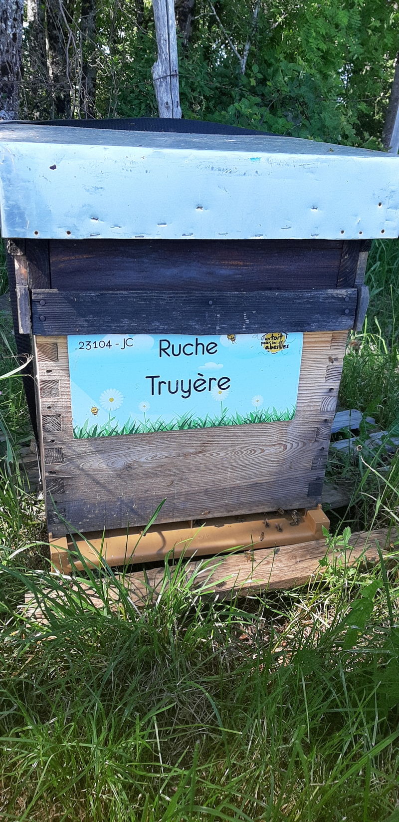 La ruche Truyère