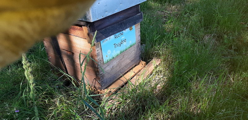 La ruche Truyère