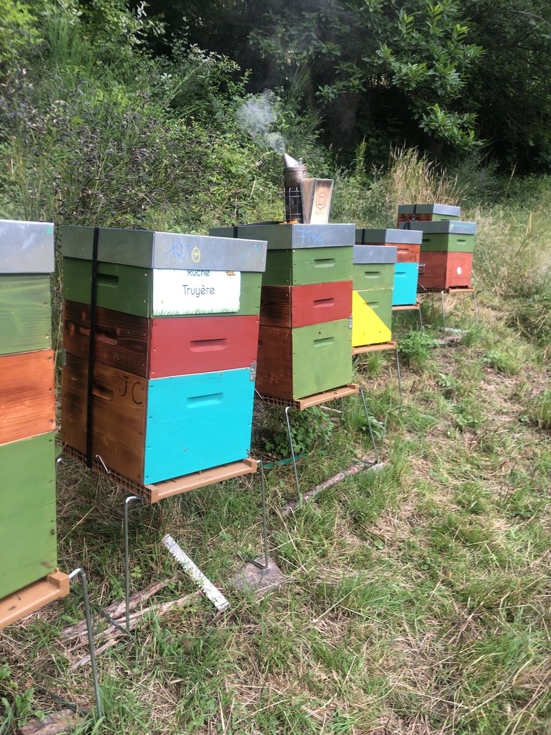 La ruche Truyère