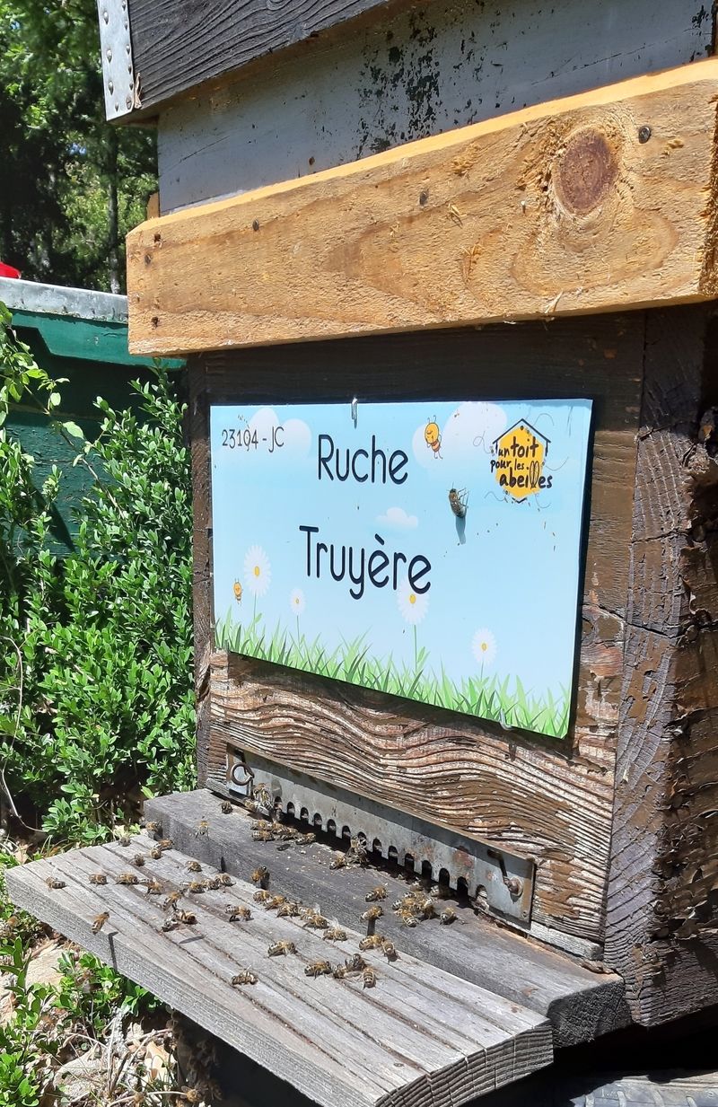 La ruche Truyère