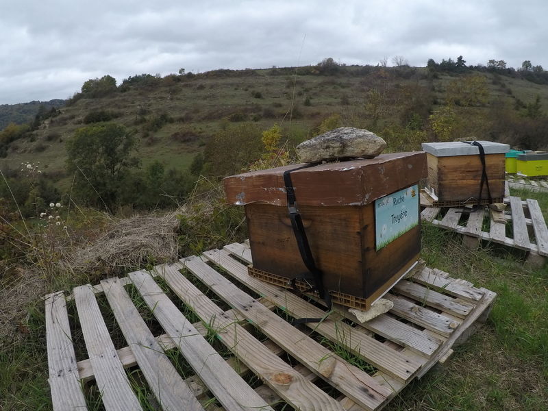 La ruche Truyère